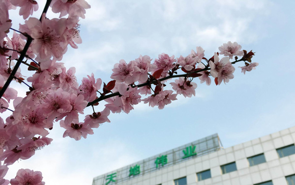 尊龙凯时·(中国区)人生就是搏!